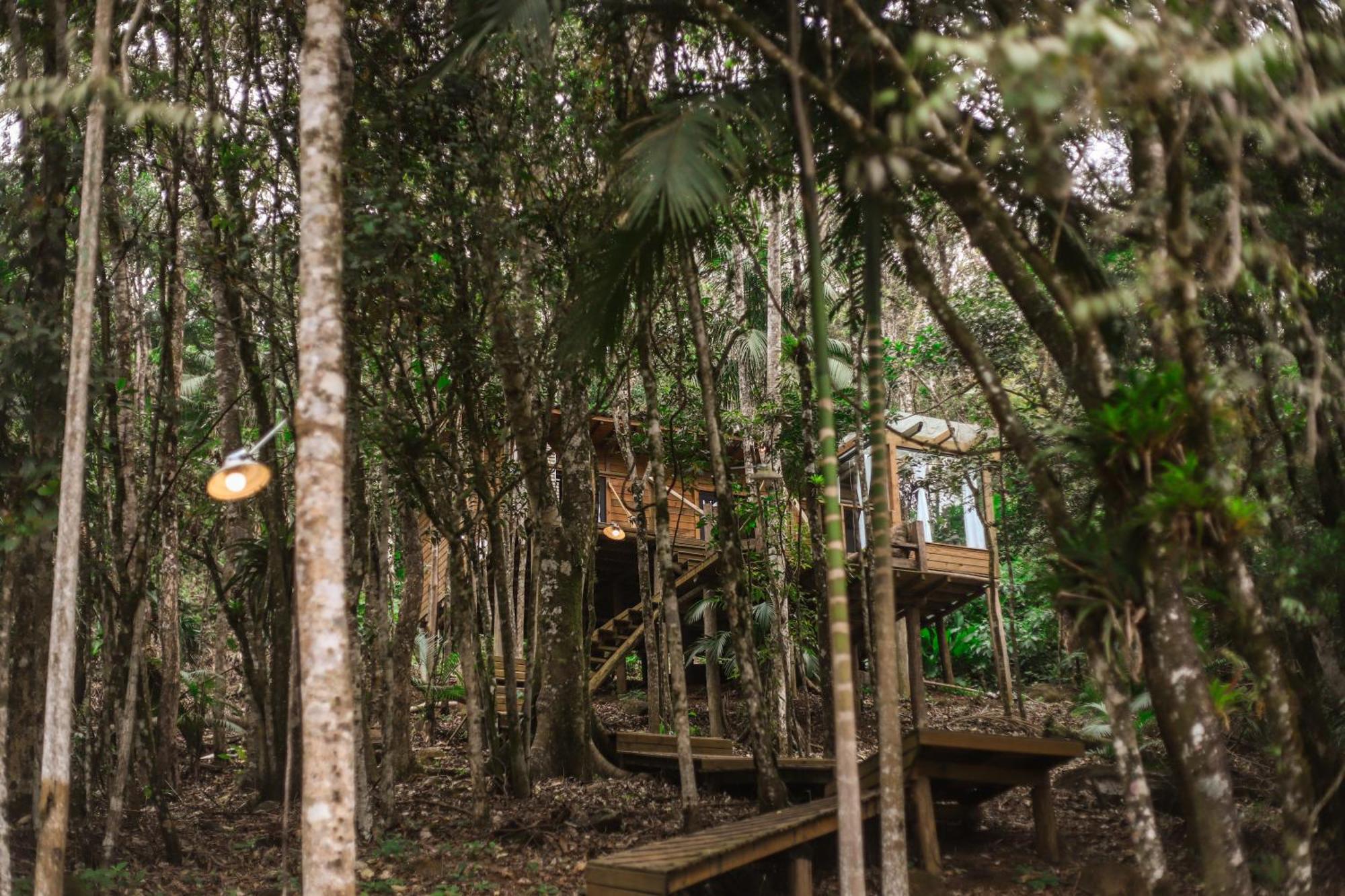 Chale Da Arvore, Vivenda Serra Velha, Chales De Montanha Timbe do Sul Luaran gambar