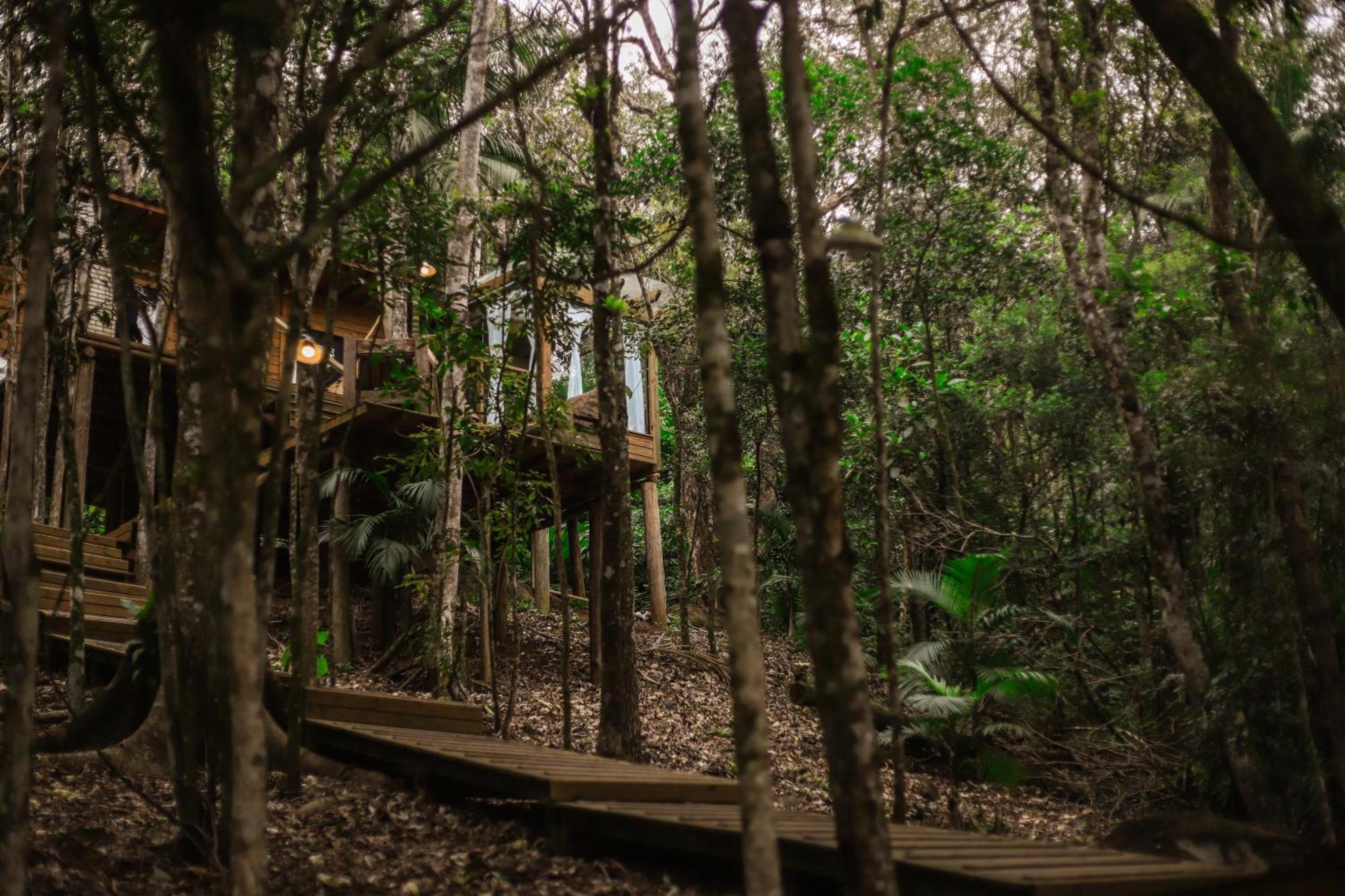 Chale Da Arvore, Vivenda Serra Velha, Chales De Montanha Timbe do Sul Luaran gambar